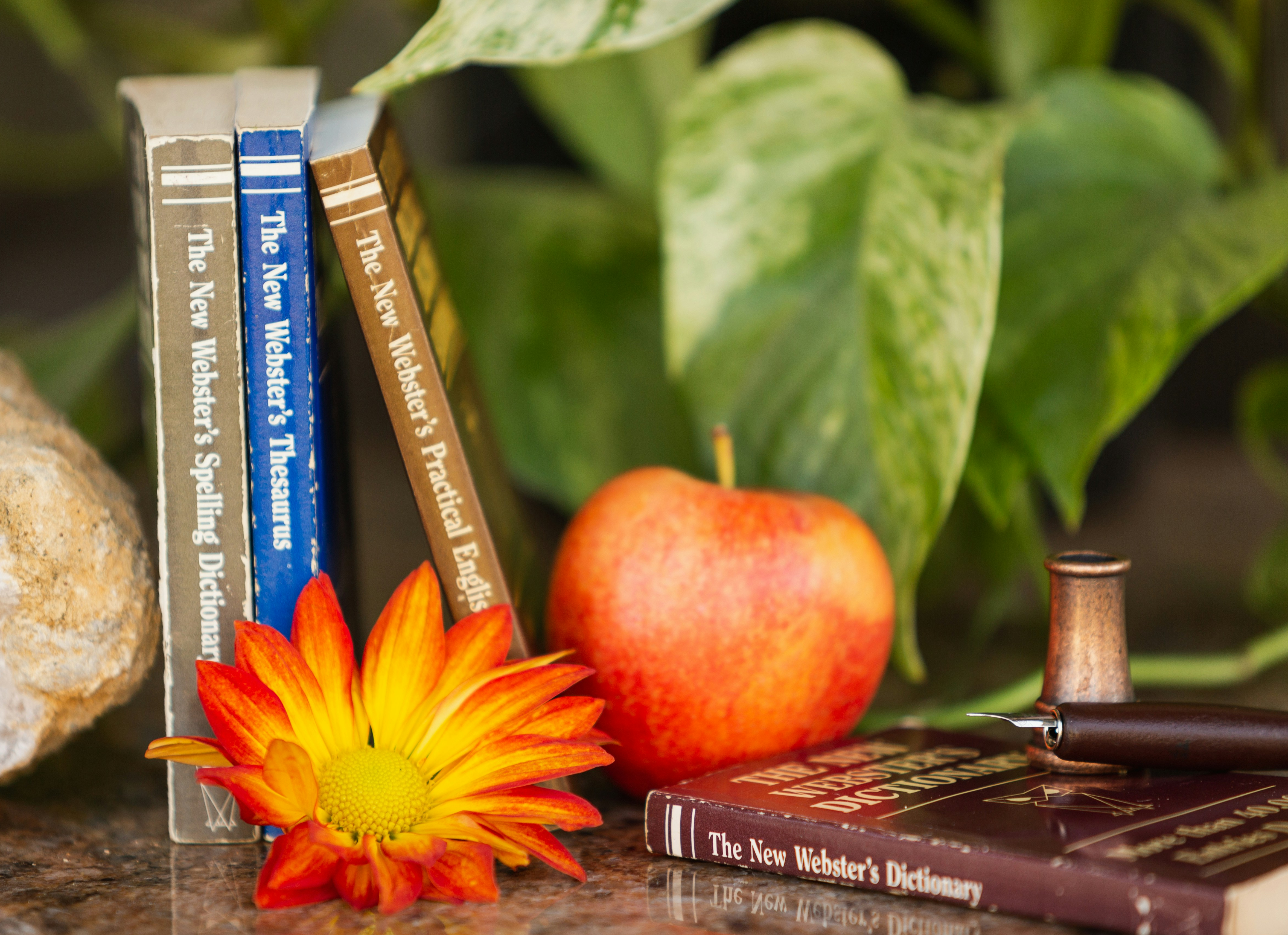 Webster's Dictionary, Thesaurus, and Spelling Guide, and Practical English